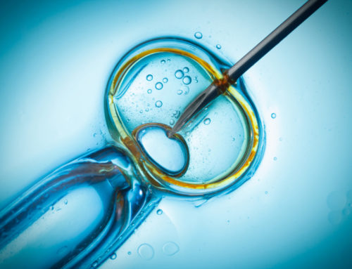 Le processus de fécondation in vitro (FIV) en tant que substitut gestationnel